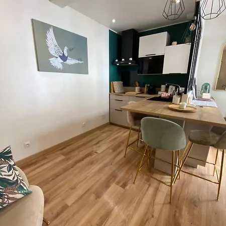 Le Saint Cyp - - Entier Cosy Et Au Calme, Proche Du Metro * 圖盧茲