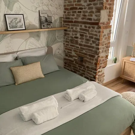 Le Saint Cyp - - Entier Cosy Et Au Calme, Proche Du Metro * Toulouse